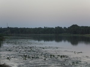 CIMG2630
