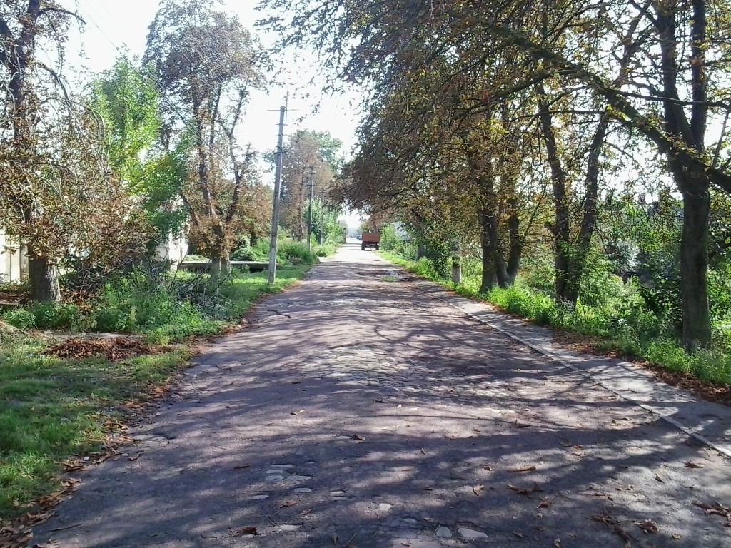 Кожанка, сахзавод