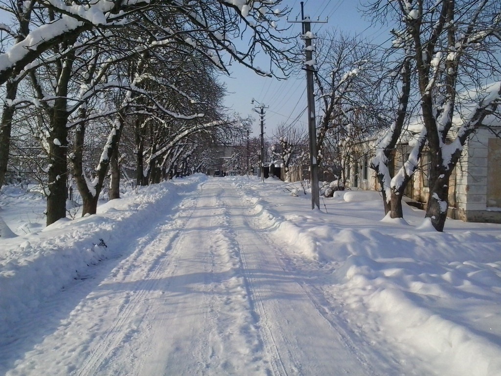 Дорога на сахзавод